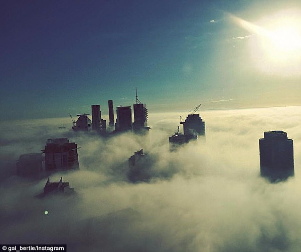 Incredible photos showed a heavy blanket of fog covering the Brisbane skyline on Tuesday