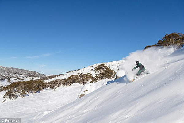 Thredbo, Perisher (pictured) and Cooma all felt their coldest morning since the beginning of winter on Sunday