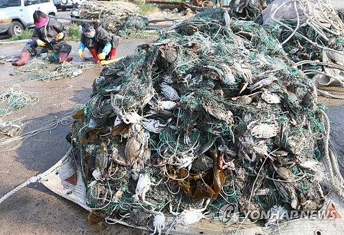 韩国增设渔业管理团 加强打击中国渔船“非法捕捞”（图） - 4
