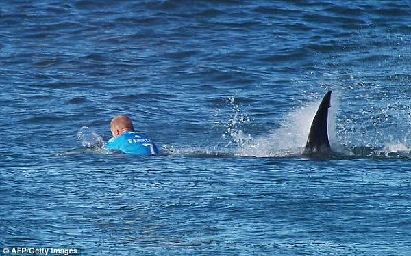 On July 19, 2015, Mick Fanning was attacked by a shark during the same competition in South Africa