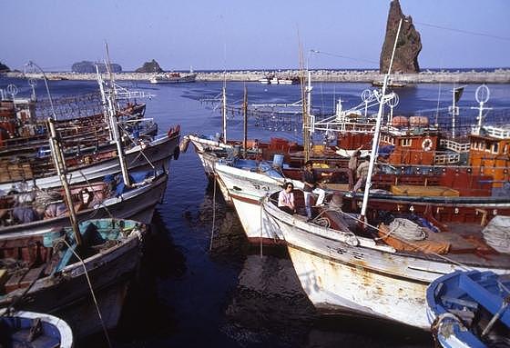 韩渔民称因中国渔船在上游过度捕捞 每次出海都空手而归（图） - 1