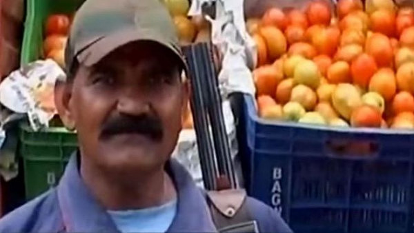 印度西红柿价格疯涨 菜场派武装士兵持枪保卫（组图） - 1