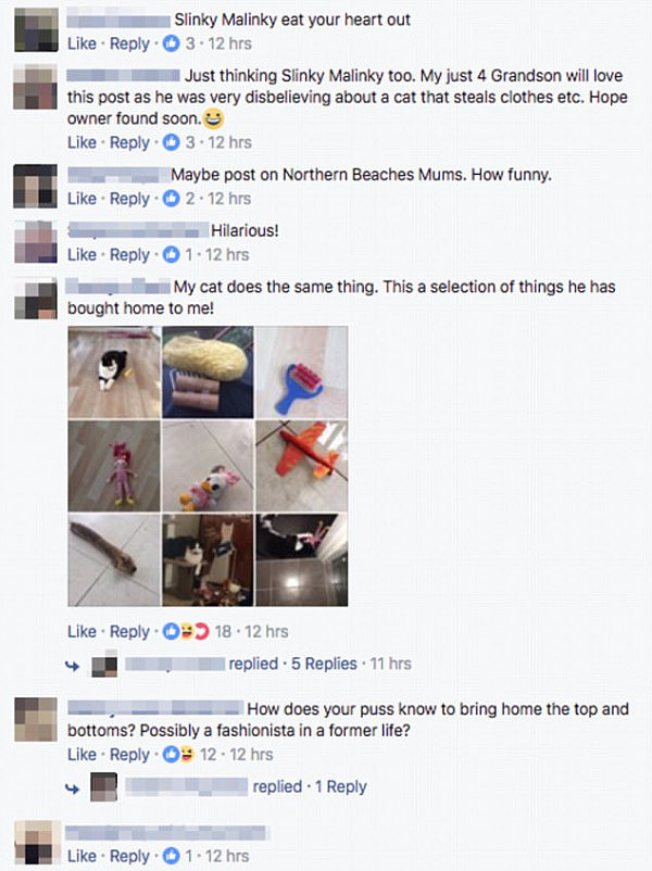 Social media users found the funny side to the cat's cheeky behaviour