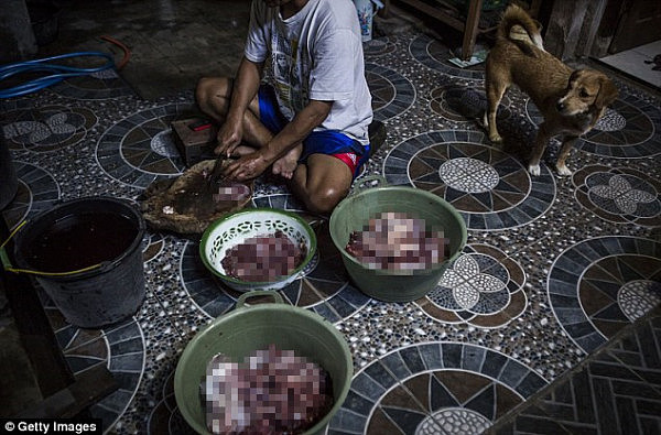 印尼商贩偷狗卖肉 称相信狗肉能治皮肤病（组图） - 5