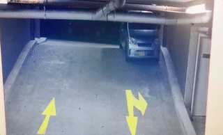 悉尼华人区储藏间被盗，小偷还拉了一泡屎！车库监控拍到全过程（视频） - 4