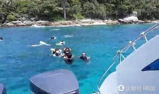 韩国黑导游在泰国带头让游客喂鱼 被警方逮捕（组图） - 1