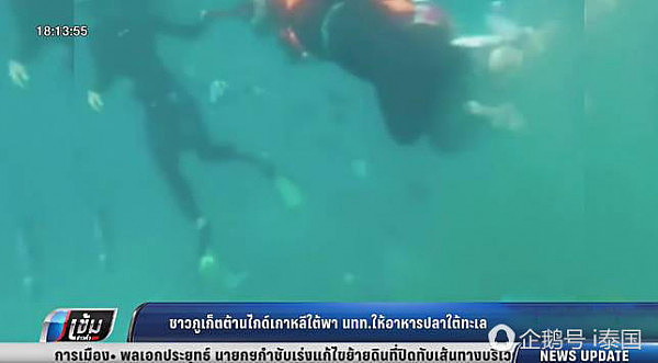 韩国黑导游在泰国带头让游客喂鱼 被警方逮捕（组图） - 3