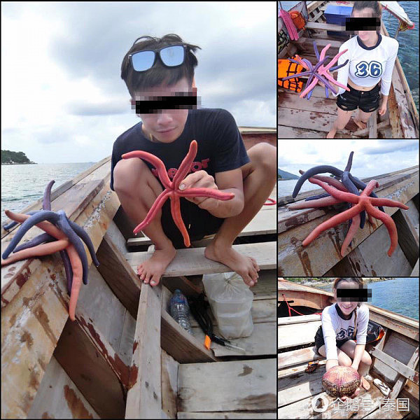 韩国黑导游在泰国带头让游客喂鱼 被警方逮捕（组图） - 9
