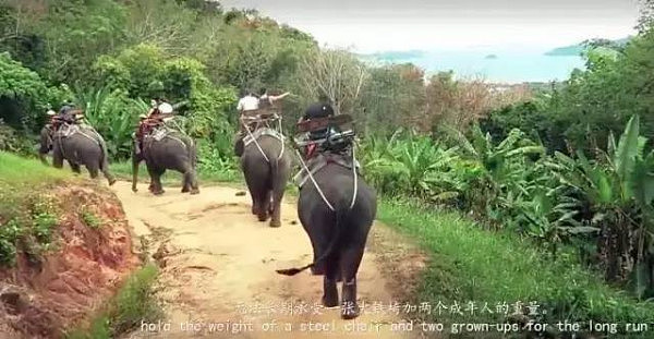 中国小伙拍摄的纪录片遭全泰国封杀，央视、江一燕转发的禁片，5千万网友不干了！看完不寒而栗…… - 10