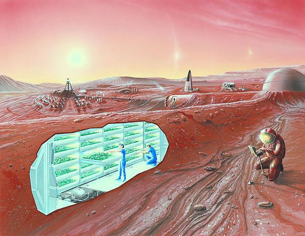 英国科学家预言：人类在50年内就可以殖民火星（组图） - 1