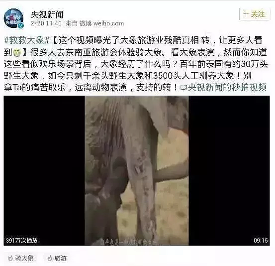 中国小伙拍摄的纪录片遭全泰国封杀，央视、江一燕转发的禁片，5千万网友不干了！看完不寒而栗…… - 22