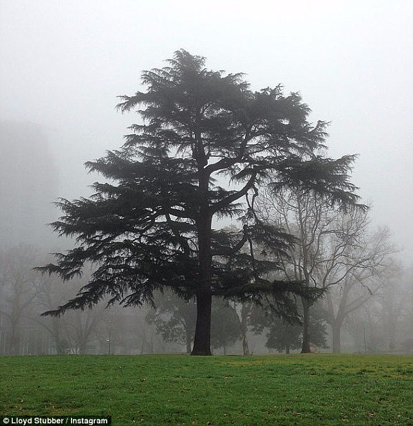 Melbourne woke to thick fog blanketing the city on Wednesday morning 