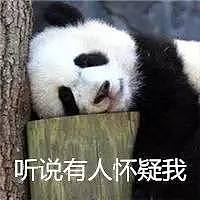 大熊猫被中国垄断 是赚钱工具和置换筹码？看中国如何回复！ - 2