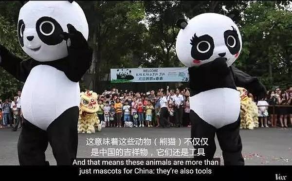 大熊猫被中国垄断 是赚钱工具和置换筹码？看中国如何回复！ - 13