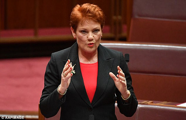 One Nation leader Pauline Hanson wants every Australian to carry a chipped, national ID card