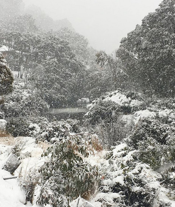 积雪厚度已达56厘米！10张图告诉你现在的澳洲到底有多冷 - 5