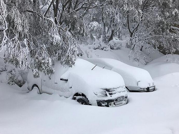 积雪厚度已达56厘米！10张图告诉你现在的澳洲到底有多冷 - 9