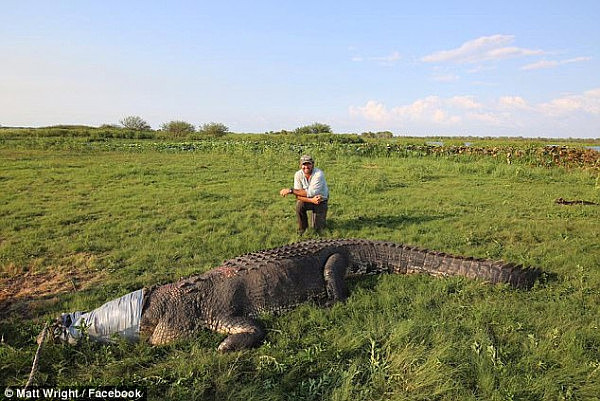 Celebrity animal expert Matt Wright (pictured) the Outback Wrangler posted  pics of a massive crocodile he captured in the Northern Territory