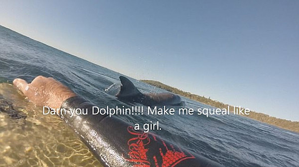 尴尬！误把海豚看成鲨鱼！新州大叔冲浪吓到惊声尖叫！（视频） - 2