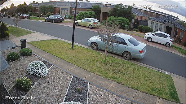 太丢脸了！澳亚裔大妈变“采花大盗”！偷人家花圃的植物被摄像头拍下全过程！（视频+组图） - 4
