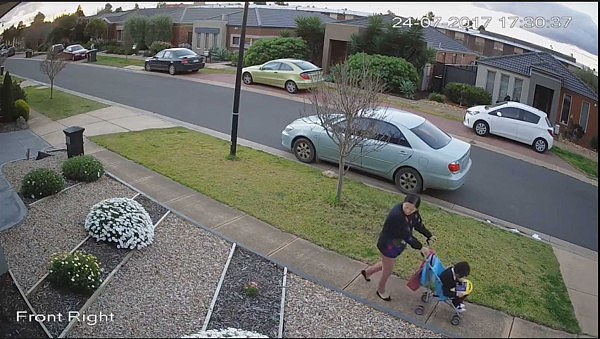 太丢脸了！澳亚裔大妈变“采花大盗”！偷人家花圃的植物被摄像头拍下全过程！（视频+组图） - 6