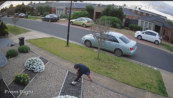 太丢脸了！澳亚裔大妈变“采花大盗”！偷人家花圃的植物被摄像头拍下全过程！（视频+组图） - 8
