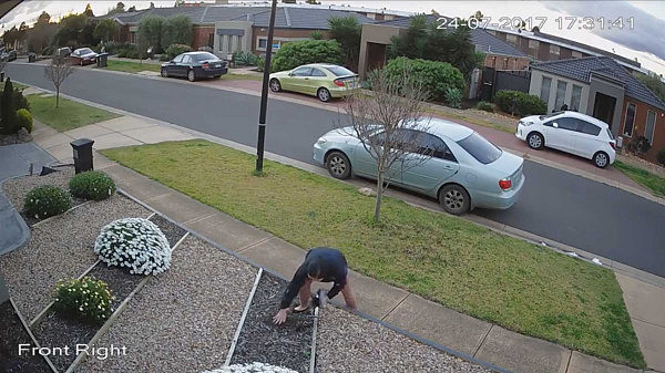 太丢脸了！澳亚裔大妈变“采花大盗”！偷人家花圃的植物被摄像头拍下全过程！（视频+组图） - 9