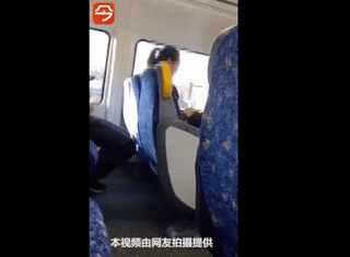 变态！亚裔小哥悉尼火车上公然“打飞机”！邻座女子全程跟拍，途经多个华人区（视频） - 4