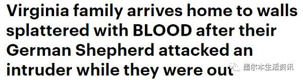 澳洲一户人家回到家，发现墙上地毯上全是血！家里东西却一样没少！查了监控后震惊了... - 2