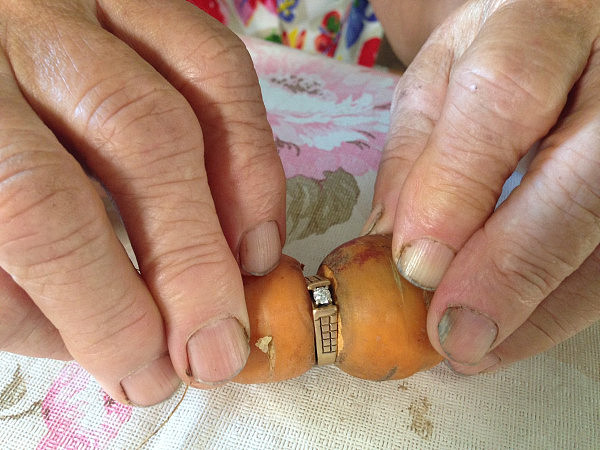 加拿大84岁老妇戒指丢失13年 竟在在胡萝卜上找到了（组图） - 3