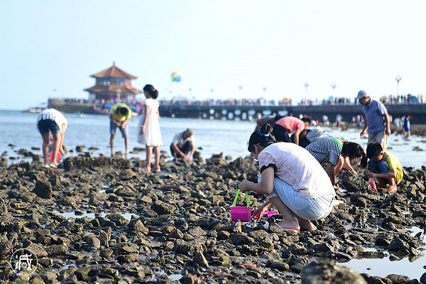 数千游客扎堆赶海 指甲大螃蟹都不放过（组图） - 4
