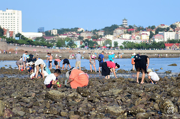 数千游客扎堆赶海 指甲大螃蟹都不放过（组图） - 9