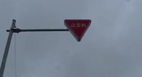 中国司机在日本驾车经过路口未停车避让 撞伤多人（组图） - 2
