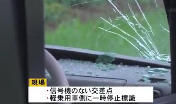 中国司机在日本驾车经过路口未停车避让 撞伤多人（组图） - 3