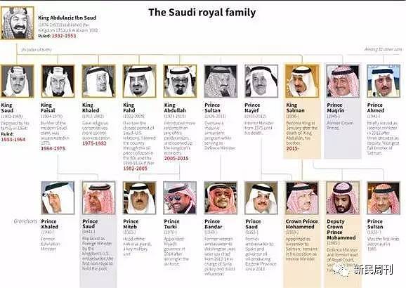 一个月内挂了俩王子？没事，沙特还有7000个...王室宫斗才是真刺激！ - 30