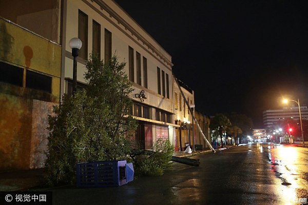 实拍最强飓风登陆美国 大树被刮倒让人望而生畏（图/视频） - 3