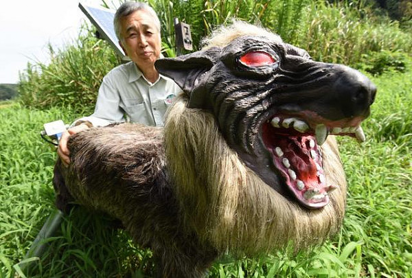 日本“怪兽狼”机器人守护庄稼 能发40种吼叫声（组图） - 5