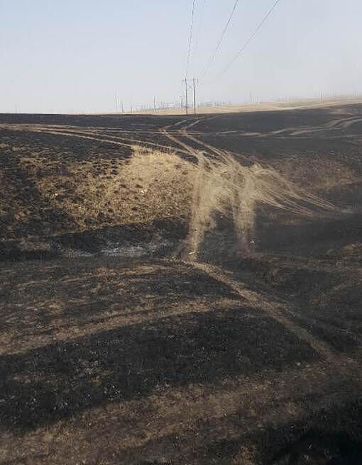 美国一草原发生大火烧毁243亩草地，竟是鹰抓蛇引起（组图） - 5