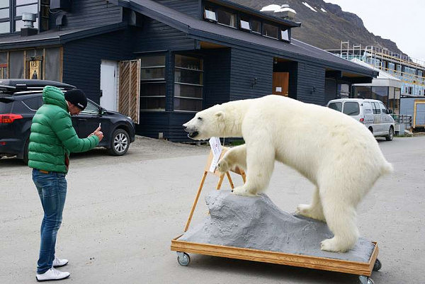 挪威一导游因“吓坏北极熊” 被罚款上万元（组图） - 1