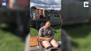 菊花一紧！Kiwi男子光屁股坐蜂箱30秒 澳媒：水土不服就服你！（视频）  - 8