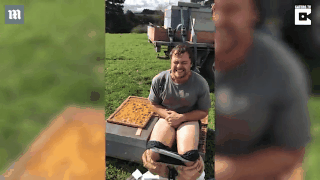 菊花一紧！Kiwi男子光屁股坐蜂箱30秒 澳媒：水土不服就服你！（视频）  - 7