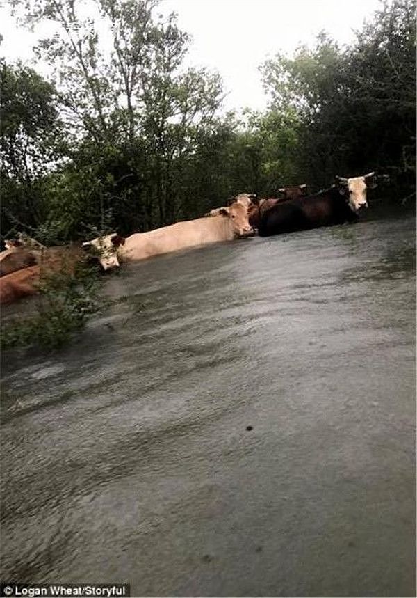 水位要突破25米 得州东部地区居民收到警告“要么离开要么等死” - 5