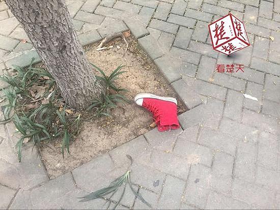 惨！华中师大垃圾车溜坡 陪弟弟报到的姐姐被撞当场身亡 - 2