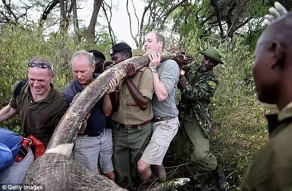 男子保护大象20余年救下大象无数 却被盗猎者枪杀