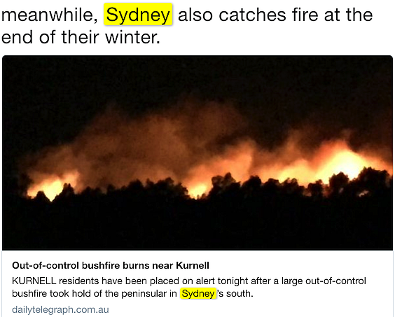 突发！悉尼机场附近火光冲天 浓烟滚滚机上可见（图） - 7