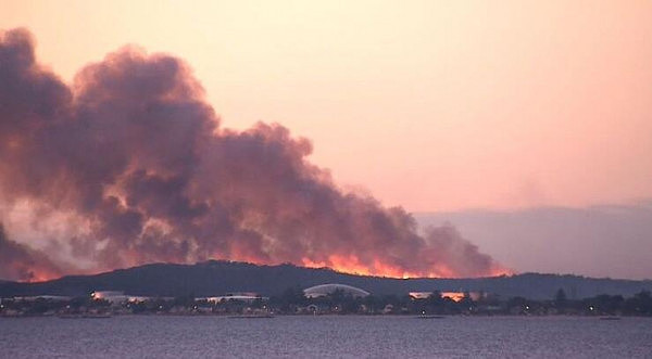 悉尼机场附近昨夜发生大火 百名消防员奋战一整夜才控制住火情 消防局怀疑有人故意纵火 - 2