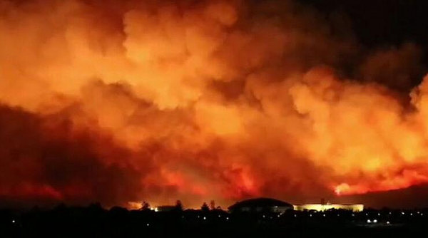 悉尼机场附近昨夜发生大火 百名消防员奋战一整夜才控制住火情 消防局怀疑有人故意纵火 - 3