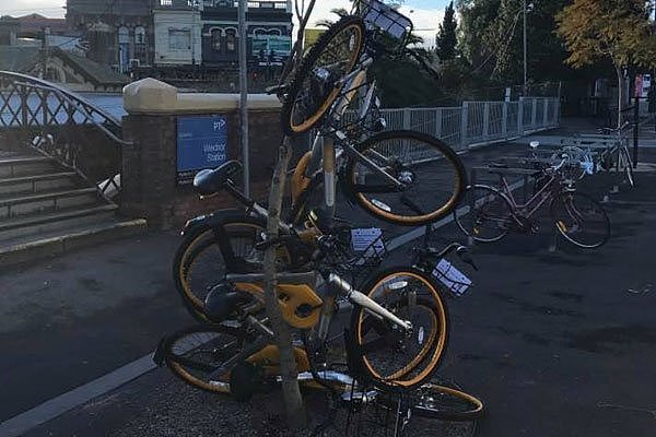 墨尔本政府严打！共享单车被贴上“城市垃圾”标示 不能合规运营将全部扣留！ - 3
