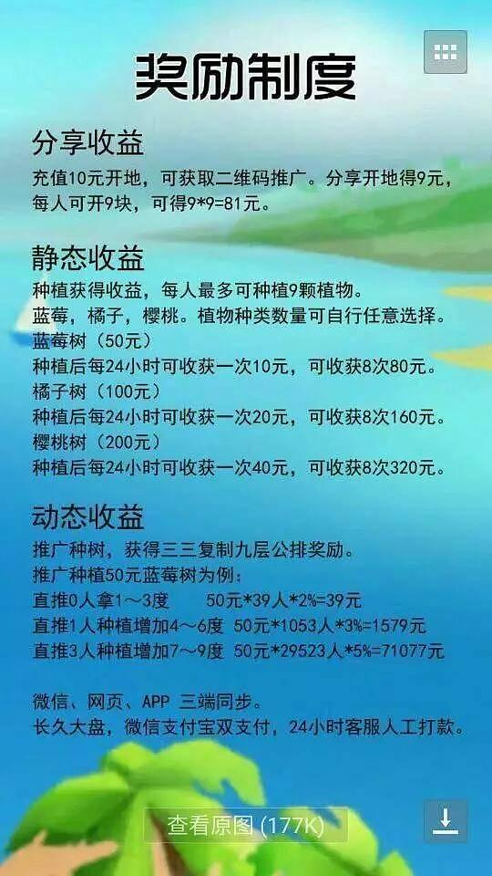 （口袋农场收益）