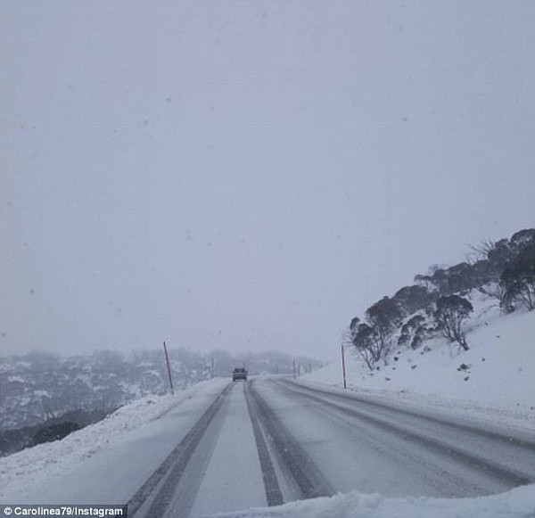 本年度最强暴风雪来袭！澳洲部分地区降雪量或超过1米 气象局发出恶劣天气预警 - 4